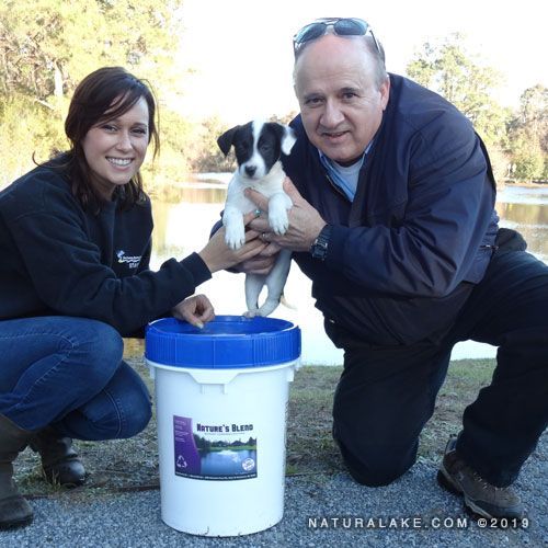 Golf Pond Management Natural Lake Biosciences