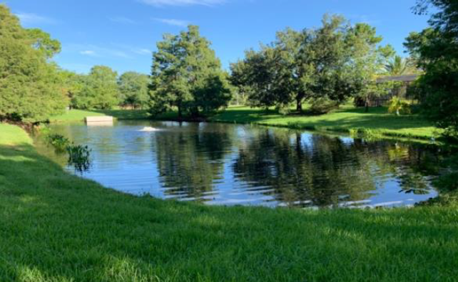 Evaluating the Effectiveness of MuckBiotics for Organic Sediment Reduction in Aquatic Ecosystems