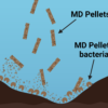 MD Pellets - Image 3