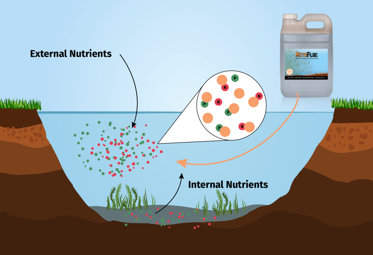 MetaFloc: All-in-One Biological Clarifier and Phosphorus Binder ...