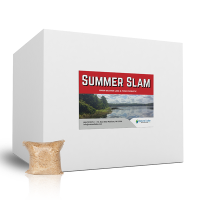 Summer Slam