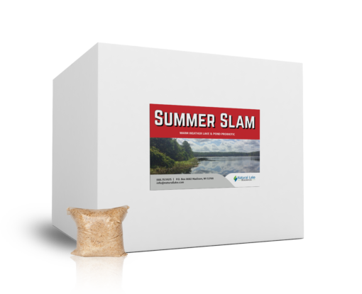 Summer Slam